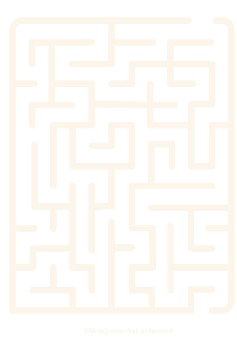 doolhof spelletje